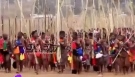 Zulu Umhlanga Reed Dance Ceremony at the Village